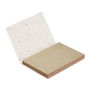 M06234 SEEDED MEMO PAD