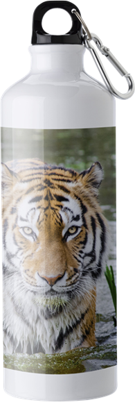 Aluminium water bottle (750 ml)