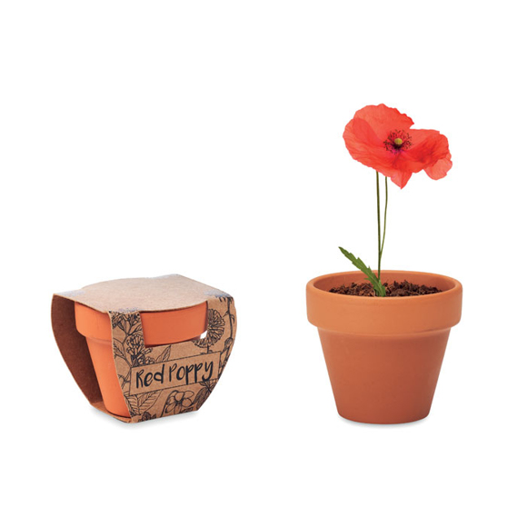Plant Pot with Poppy