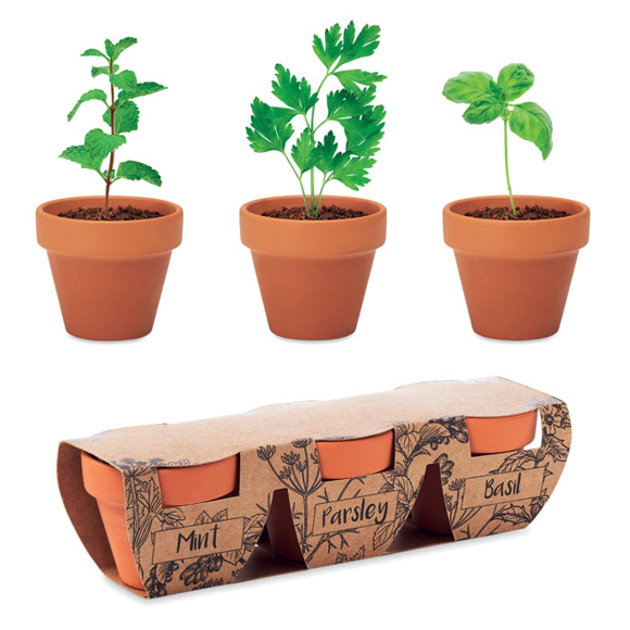 Plant Pot with Flower