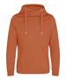 Picture of CROSS NECK HOODIE