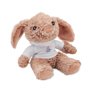 Picture of BUNNY HOODED TEDDY BEAR