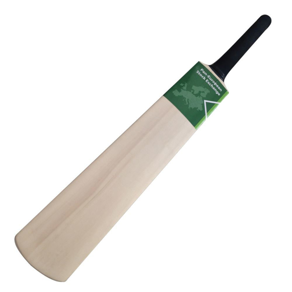 Picture of FULL SIZE CRICKET BAT