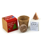 Picture of CHRISTMAS TREE SEED BOMB KIT
