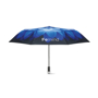 Picture of Foldable Umbrella with Clip Handle.