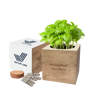 Picture of Desktop Cube Garden