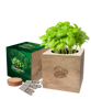 Picture of Desktop Cube Garden