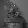 Picture of ICE R