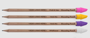 Picture of Blooming Pencil
