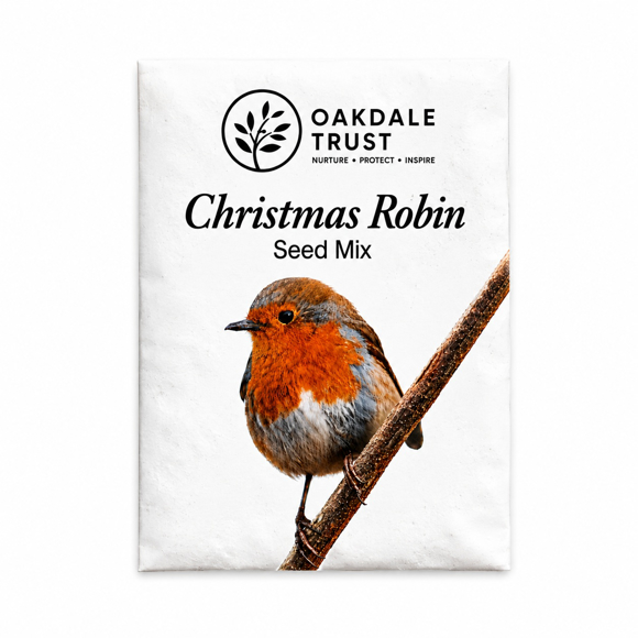 Picture of Christmas Robin Seed Mix