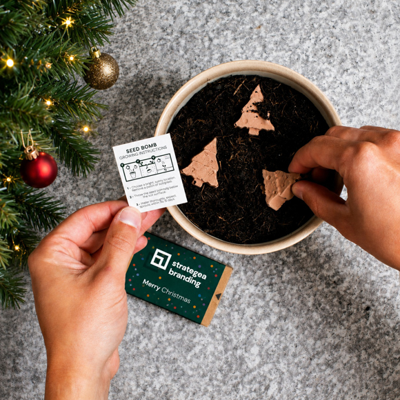 Picture of Christmas Tree Shaped Seed Bombs Matchbox
